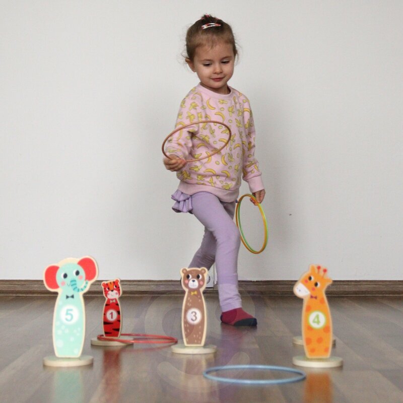 TOOKY TOY Puidust arkaadmng Toss Animals 15 el. hind ja info | Arendavad mänguasjad | kaup24.ee