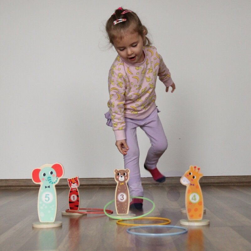 TOOKY TOY Puidust arkaadmng Toss Animals 15 el. hind ja info | Arendavad mänguasjad | kaup24.ee