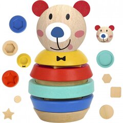 TOOKY TOY Puidust pusle pramiidi kujuga karu 11 el. цена и информация | Развивающие игрушки | kaup24.ee