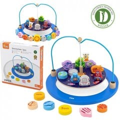 VIGA Puidust ppemng Balance Cosmos цена и информация | Развивающие игрушки | kaup24.ee