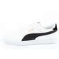 Meeste Jooksukingad Puma Puma Shuffle Valge hind ja info | Spordi- ja vabaajajalatsid meestele | kaup24.ee