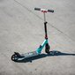 NILS EXTREME linna roller HM2160 BLACK-MINT hind ja info | Tõukerattad | kaup24.ee