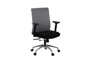 Офисный стул A2A Riverton F/L/AL, черно-серый цена и информация | Офисные кресла | kaup24.ee