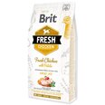 Brit Fresh Chicken with Potato Adult koeratoit 12 kg