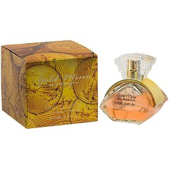 Parfüümvesi Linn Young Gold Mine EDP naistele 100 ml hind ja info | Naiste parfüümid | kaup24.ee