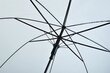 Lbipaistev valge vihmavari цена и информация | Naiste vihmavarjud | kaup24.ee