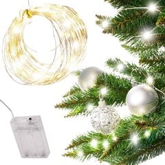 LED jõulutuled 10 m 100 LED, külm valge цена и информация | Новогодняя гирлянда Holiday, 10 светодиодов, 30 см | kaup24.ee