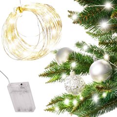 LED tuled 10 m, 100LED, soe valge hind ja info | Jõulutuled | kaup24.ee