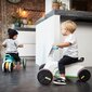Berg Colored Jeżdzik GO Twirl Multicolor mänguga lastele 10m+ hind ja info | Imikute mänguasjad | kaup24.ee