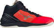 Mizuno Indoor handball shoes Mizuno Wave Stealth Neo Mid M X1GA200563 X1GA200563 цена и информация | Spordi- ja vabaajajalatsid meestele | kaup24.ee