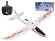 Samolot RC WLtoys Sky King F959S 2,4GHz hind ja info | Poiste mänguasjad | kaup24.ee