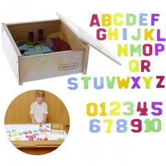 MASTERKIDZ Läbipaistvad numbrid ja tähed 38 Montessori tk цена и информация | Развивающие игрушки | kaup24.ee