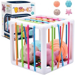 WOOPIE Flexible Sensory Cube Sorter for Children Crazy Shapes 5 tk. hind ja info | Imikute mänguasjad | kaup24.ee