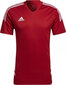 Adidas Condivo 22 Jersey M HA6286 HA6286 цена и информация | Meeste T-särgid | kaup24.ee