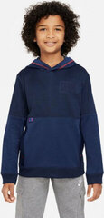 Nike FC Barcelona Jr Sweatshirt DQ4513-451 DQ4513451 цена и информация | Свитеры, жилетки, пиджаки для мальчиков | kaup24.ee