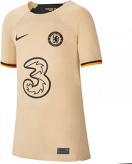 Nike Jersey Nike Chelsea FC Stadium 22/23 3R Jr DN2736-253 DN2736253 hind ja info | Tüdrukute särgid | kaup24.ee