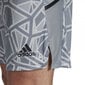 Meeste lühikesed püksid Adidas, hall hind ja info | Meeste spordiriided | kaup24.ee