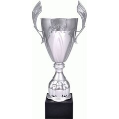 Puchar Metalowy Srebrny 4127B цена и информация | Другие подарки | kaup24.ee