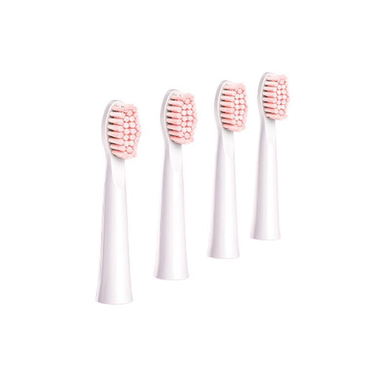FairyWill Toothbrush Tips E11 цена и информация | Elektriliste hambaharjade otsikud | kaup24.ee