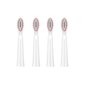 FairyWill Toothbrush Tips E11 hind ja info | Elektriliste hambaharjade otsikud | kaup24.ee