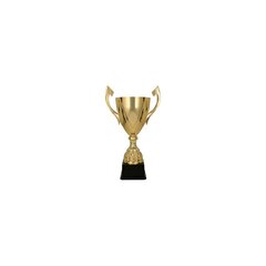 Puchar metalowy złoty DARKA 3133F цена и информация | Другие подарки | kaup24.ee