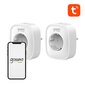 Smart socket WiFi Gosund SP1 (2-pack), Tuya цена и информация | Lülitid ja pistikupesad | kaup24.ee