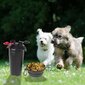 Kahekordne tass vee ja toidu jaoks koertele, must цена и информация | Reisimise tarvikud | kaup24.ee