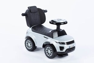 Käepidemega sõiduauto - HZ614W - HALL hind ja info | Imikute mänguasjad | kaup24.ee
