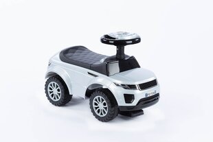 Käepidemega sõiduauto - HZ614W - HALL hind ja info | Imikute mänguasjad | kaup24.ee