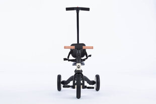 Трехколесный велосипед - Balance Bike - 6in1 - MIKE - PRETTY NUDE цена и информация | Трехколесные велосипеды | kaup24.ee