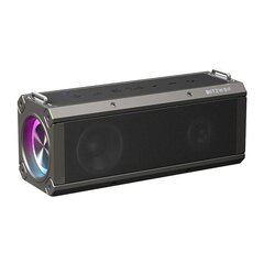 Blitzwolf BW-WA3 Pro Wireless speaker Bluetooth 5.0 (black) hind ja info | Kõlarid | kaup24.ee