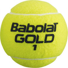 Babolat Tennis balls Gold Championship 4pcs 502082 цена и информация | Товары для большого тенниса | kaup24.ee