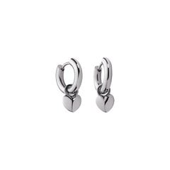 Paul Hewitt Ocean Heart Earring Silver PH-JE-0167 PH-JE-0167 цена и информация | Серьги | kaup24.ee