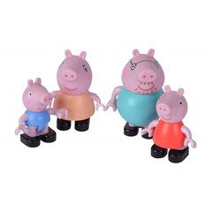 PlayBIG BLOXX ehitusplokid Peppa Pig Family 4 figuurid hind ja info | Tüdrukute mänguasjad | kaup24.ee