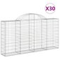 vidaXL kaarekujulised gabioonkorvid 30 tk, 200x30x100/120 cm, raud hind ja info | Aiad ja tarvikud | kaup24.ee