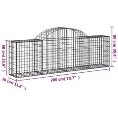 vidaXL kaarekujulised gabioonkorvid 20 tk, 200x30x60/80 cm, raud hind ja info | Aiad ja tarvikud | kaup24.ee