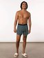 Meeste bokserid, Saxx Quest Boxer Brief Fly, Roheline - Sunrise Stripe 64653-600 цена и информация | Meeste aluspesu | kaup24.ee