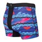 Meeste bokserid, Saxx Hot Shot Boxer Brief Fly, sinine - Iceberg Stripe 64709-386 цена и информация | Meeste aluspesu | kaup24.ee