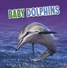 Baby Dolphins цена и информация | Книги для подростков и молодежи | kaup24.ee