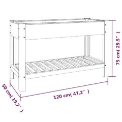 vidaXL aia taimelava riiuliga, hall, 120x50x75 cm, WPC цена и информация | Ящики для цветов | kaup24.ee