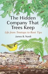 Hidden Company That Trees Keep: Life from Treetops to Root Tips цена и информация | Книги по социальным наукам | kaup24.ee