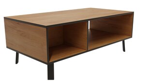 Diivanilaud ADRK Furniture Lofton Craft, pruun hind ja info | Diivanilauad | kaup24.ee