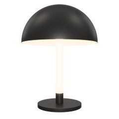 Laualamp Maytoni Modern Ray Z012TL-L8B3K, must цена и информация | Настольные лампы | kaup24.ee