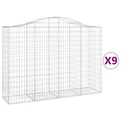 vidaXL kaarekujulised gabioonkorvid 9 tk, 200x50x140/160 cm, raud hind ja info | Aiad ja tarvikud | kaup24.ee