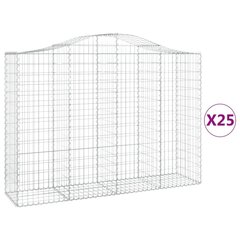 vidaXL kaarekujulised gabioonkorvid 25 tk, 200x50x140/160 cm, raud цена и информация | Заборы и принадлежности к ним | kaup24.ee