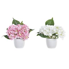 Декоративные цветы DKD Home Decor, 2 шт. цена и информация | Искусственные цветы | kaup24.ee