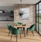 Köögimööbli komplekt ADRK Furniture 84 Rodos, roheline/pruun hind ja info | Söögilauakomplektid | kaup24.ee