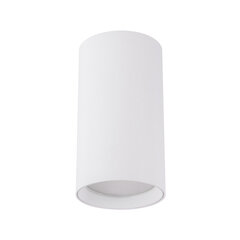 Белый потолочный светильник STRÜHM 100x55x55 мм цена и информация | Потолочные светильники | kaup24.ee