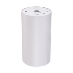 Белый потолочный светильник STRÜHM 100x55x55 мм цена и информация | Потолочные светильники | kaup24.ee