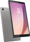 Lenovo Tab M8 (4th Gen) WiFi 3/32GB Arctic Grey ZABU0140SE hind ja info | Tahvelarvutid | kaup24.ee